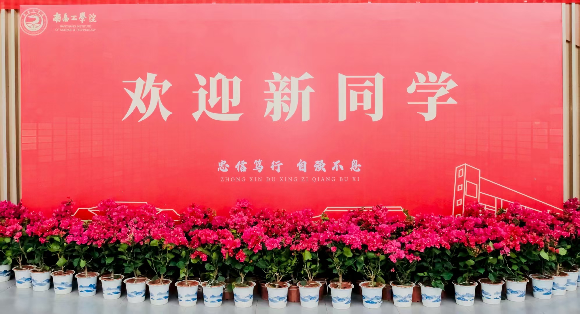 轮播图