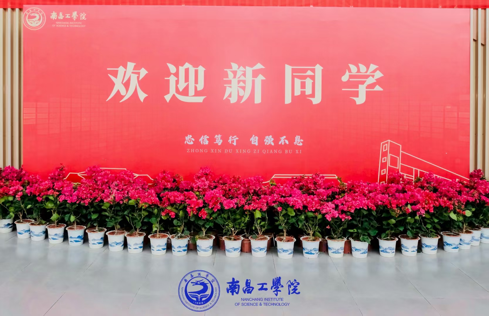 轮播图